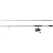 Abu Garcia Max SX Spinning Combo