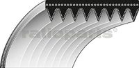 RATIOPARTS 8-782 aandrijfriemen type 6-24 x 690 V-ribbelriem