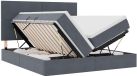 vidaXL Opbergbed met hoofdeinde Donkergrijs 200 x 200 cm Fluweel