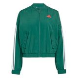 adidas ESSENTIALS 3-STRIPES WOVEN WINDBREAKER, team dark green/white, XS