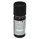 Atmosphera Geurolie eucalyptus 10 ml