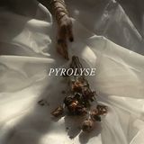 Pyrolyse [Vinyl Lp]