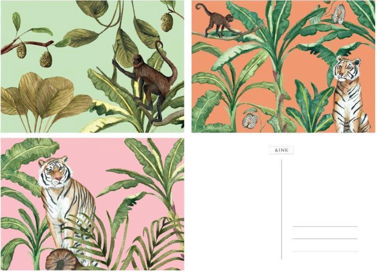 A-Journal &INK Wenskaarten set - 15 stuks - Botanische Jungle - Blanco | Oranje