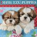 Willow Creek Press Shih Tzu Puppies 2027 12 X 12 Wall Calendar