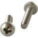 Vis Express Vis Autotaraudeuse Tête Cylindrique Bombée Tcb Pozi 4x16 Inox A2-200 Pièces