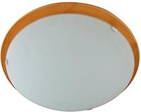 Theluz 499/30MIEL/C Plafondverlichting