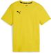 Puma Kinder T-shirt TeamGoal Casuals Jr 658616