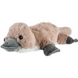 4KidsOnly Warmies magnetron pluche - lavendel geur - vogelbekdier