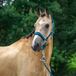 Horka Halster Classic Delight