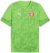 Puma Girona Fc 25/26 Training T-shirt Met Korte Mouwen Groen L Man