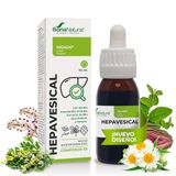 Soria Natural Composor 03 | Worm, bitterkamille, rozemarijn, spijsverteringswelzijn, leverfunctie, veganistische voeding