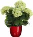 Mica Decorations Hortensia plante artificielle 45 cm - Vert - En pot Rouge brillant