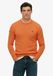 Superdry & Co Trui oranje / zwart