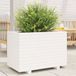 Maison Exclusive - Pot de fleurs d'extérieur, blanc, 70 x 40 x 49,5 cm, en bois de pin massif