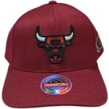 Mitchell & Ness Chicago Bulls pet Seasonal