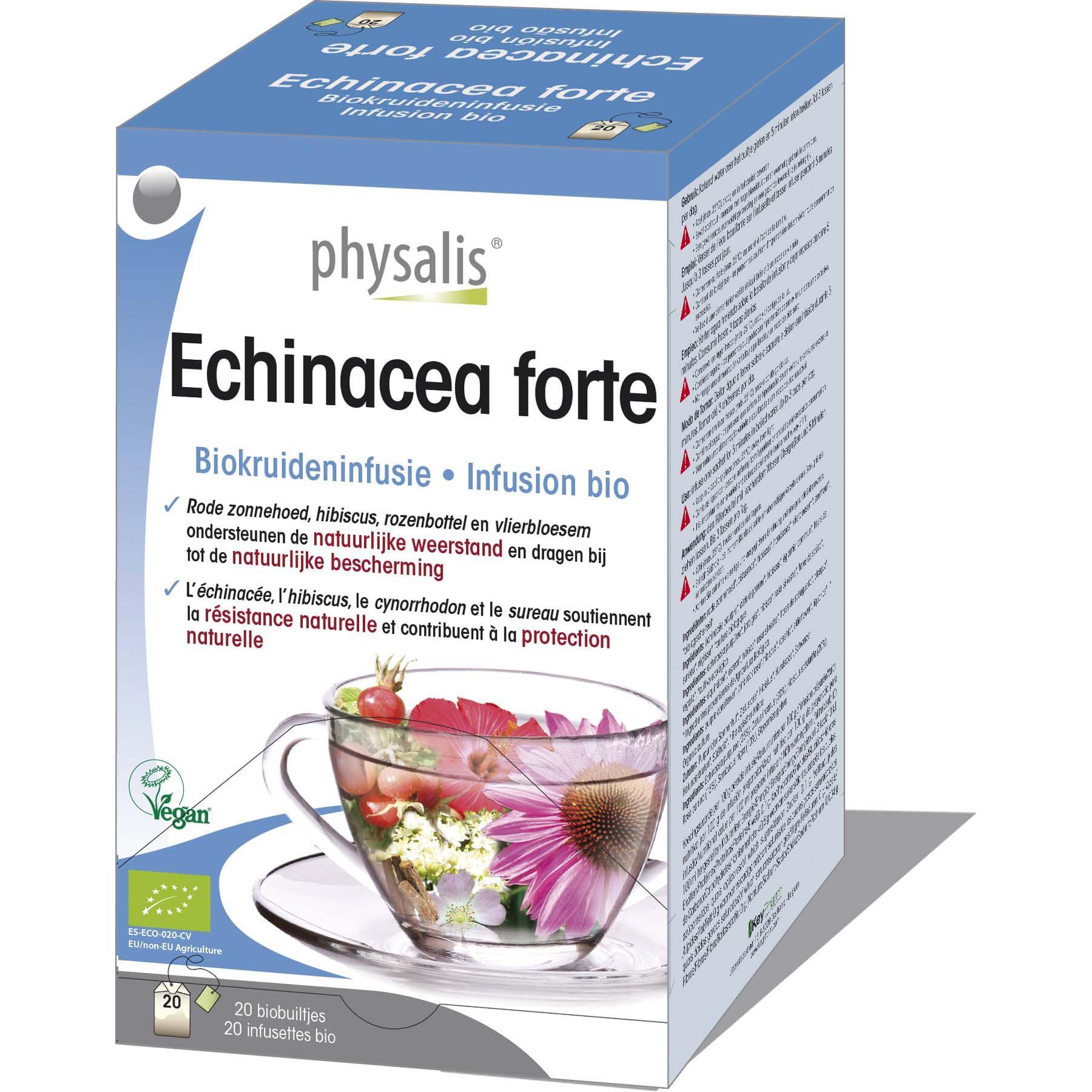 Physalis Echinacea forte infusie Thee 20 stuks