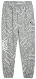 Puma Teamjaws Post Game Pants Medium Gray Heather