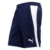 Puma Korte Trainingsshorts Teamfinal 26