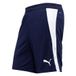 Puma Korte Trainingsshorts Teamfinal 26