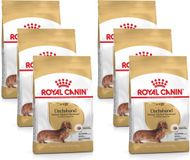 Royal Canin Bhn Dachshund Adult - Hondenvoer - 6 x 1.5 kg
