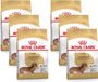 Royal Canin Bhn Dachshund Adult - Hondenvoer - 6 x 1.5 kg
