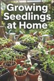 Growing Independently Published Growing Seedlings at Home