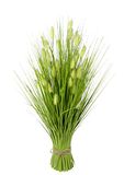 Flair Flower Kunstgras 089581GN Kunstgras Kunstgras Groene Planten Dekogras Grasplukje solitair gras decoratief grasarrangement, 60 x 30 x 30 cm
