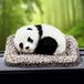 Panda Absorbeur d'odeurs bambou charbon de bois - Panda endormi - Bambou charbon de bois naturel - Gris - Pour voiture, maison et animaux domestiques