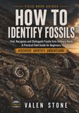 FOSSIL IDENTIFICATION IN THE FIELD: Spot Them Instantly: A Practical Guide for Beginners to Recognize Fossils Quickly and Confidently in Any Landscape