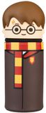 Grupo Erik Harry Potter 3D Pencil Case