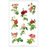 Susy Card 11259421 sticker natuur 1.8, FSC, 3 vellen zelfklevend