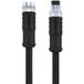 Escha 8046258 Sensor/actuator connector, M8, 4-pole, straight female, 2m