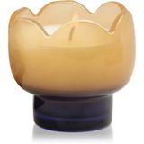 Paddywax Tulip Scented Candles 155 gr