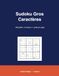 Sudoku Gros Caractères: 100 grilles en 3 niveaux avec solutions — Volume 1