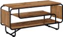 vidaXL TV-standaard 98 x 36 x 45 cm Oud hout Bewerkt hout