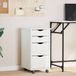 Vidaxl Armoire roulante avec tiroirs Moss blanc bois de pin massif