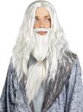 FUNIDELIA Perkamentus pruik en baard voor mannen - Harry Potter - Grijs