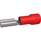 BizLine Rode Kabelschoen/Vlaksteker Vrouwelijk 0,5-1,5mm2 - 6,3 x 0,8 mm