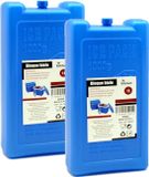 Arte R Koelelementen - 4x - groot blok - 1000 ml - 11 x 5 x 22 cm - blauw - voor koeltas en koelbox