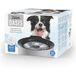 Zeus Oasis Fontaine à boire, gris 3 l Chien