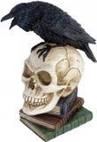 Alchemy Poe's Raven schedel beeldje