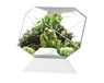 Askoll 280669 Nexus 5C Betta Life White