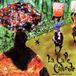 Sonic Rendezvous La Calle Caliente Latin Jazz Band (CD)