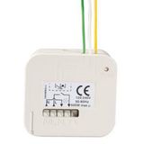 Somfy Inbouwontvanger Binnenverlichting