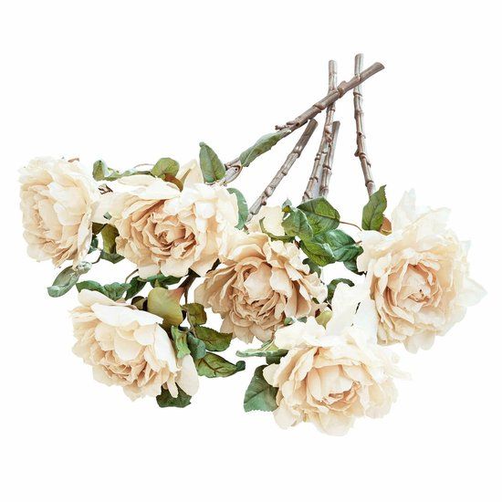 Loberon Decoratieve bloem set van 6 Mervix crème