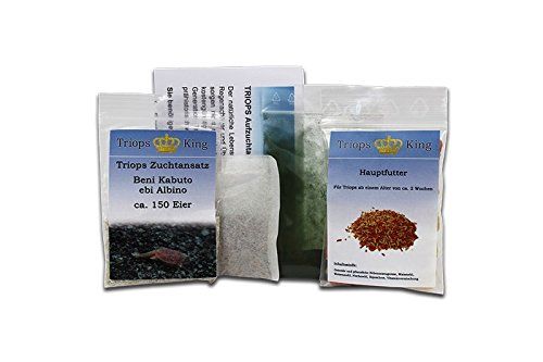 Triops King Triops Cancriformis Duitsland kweekaanzet met ca. 50 oertijdkreeft-eieren/zysten Duitsland - Kweek je eigen oertijdkreeften bij je thuis in het aquarium