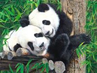 SunsOut Bamboo Buddies 300 PC Puzzle