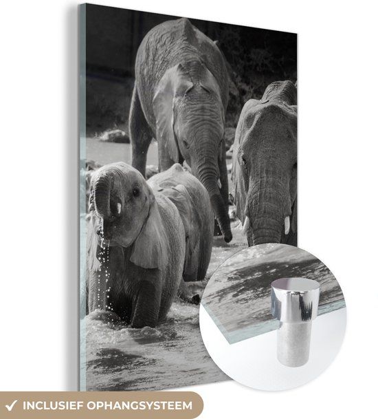 MuchoWow® Glass Painting 120x160 cm - Acrylic Glass Painting - Elephant - Animals - Water - Black and White - Photo on Glass - Paintings