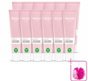 WELEDA Crème visage sensible hydratante - 12 x 30 ml