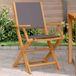 Maison Exclusive - Chaises pliantes 2 pièces anthracite bois massif d'acacia et tissu